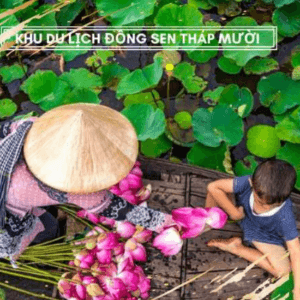 Khu Du Lịch Sinh Thái Đồng Sen