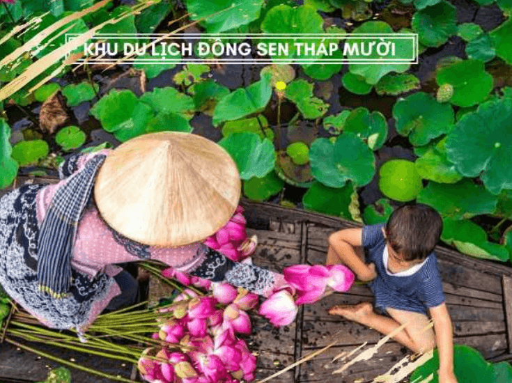 Khu Du Lịch Sinh Thái Đồng Sen