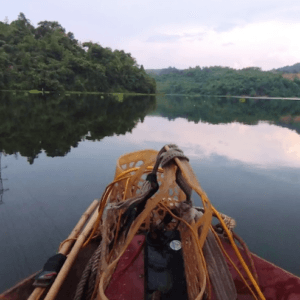 Hồ Đồng Tuyển