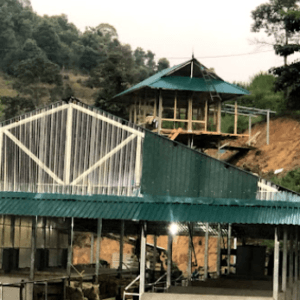 Trang trại Ngựa Bạch
