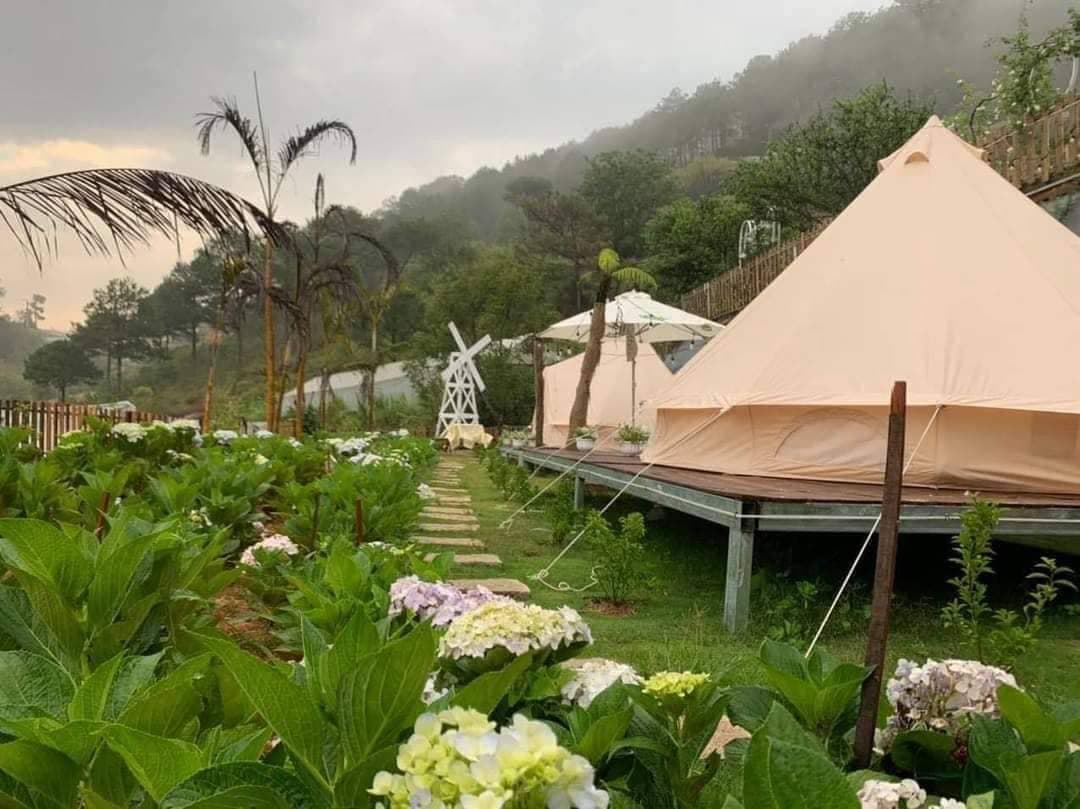 Đồi Mơ Homestay and Camping