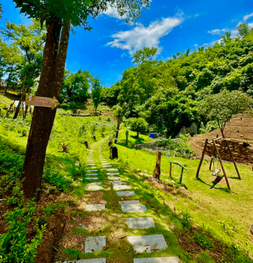 Khu Sinh Thái Thung Lũng Hoa Trên Đá