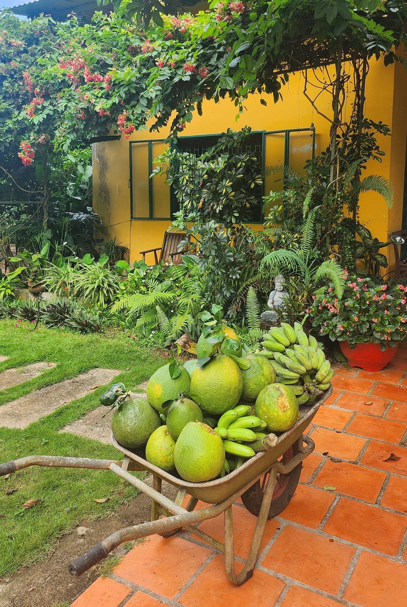 Sue's Homestay Farmstay