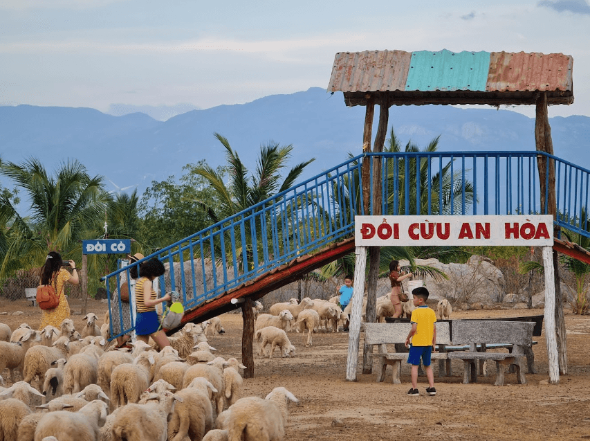 Đồi Cừu An Hòa - Bác Ái - Ninh Thuận