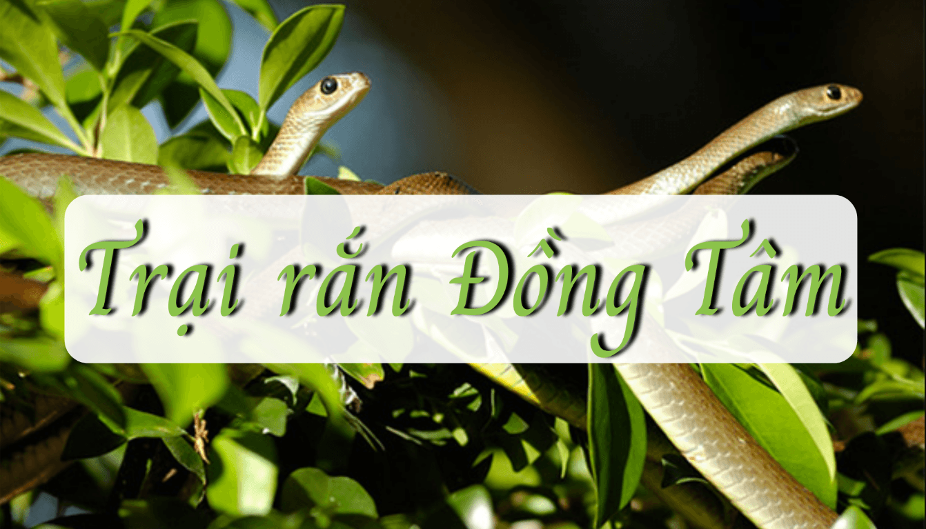 Trại Rắn Đồng Tâm - Châu Thành - Tiền Giang