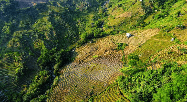 Ruộng bậc thang Kon Pin