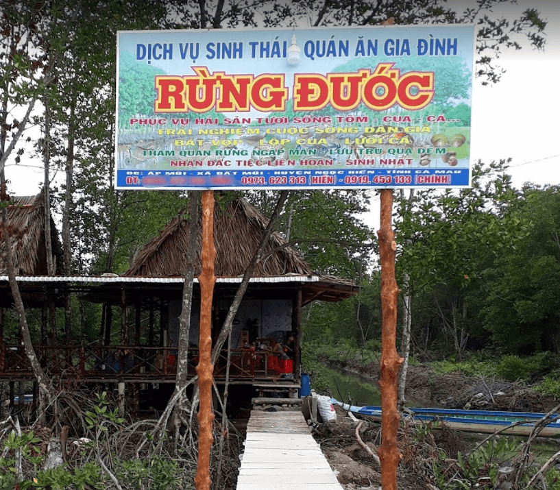 Du lịch Rừng Đước Đất Mũi