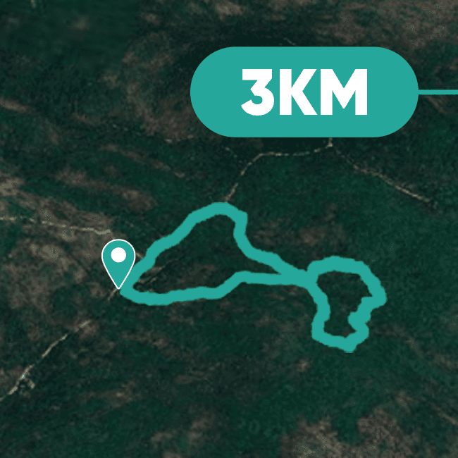 Núi Dinh – Green Route 3km