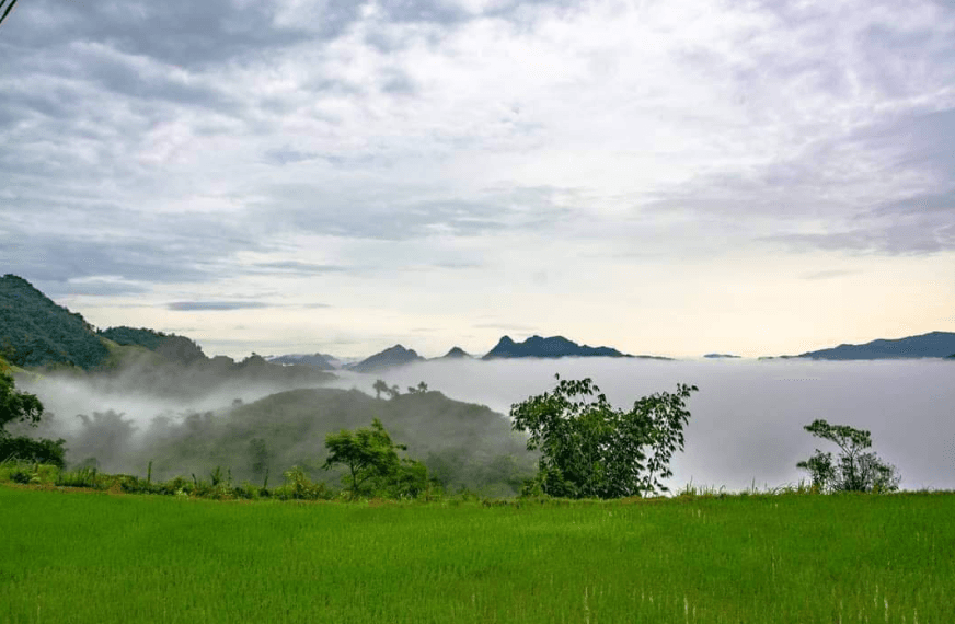 Pha Luông Panorama - Mộc Châu - Sơn La