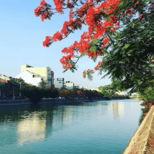 Hồ Tam Bạc - Đầu Triển lãm - Hồng Bàng - Hải Phòng