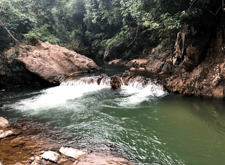 Khu Sinh Thái Suối Vàng