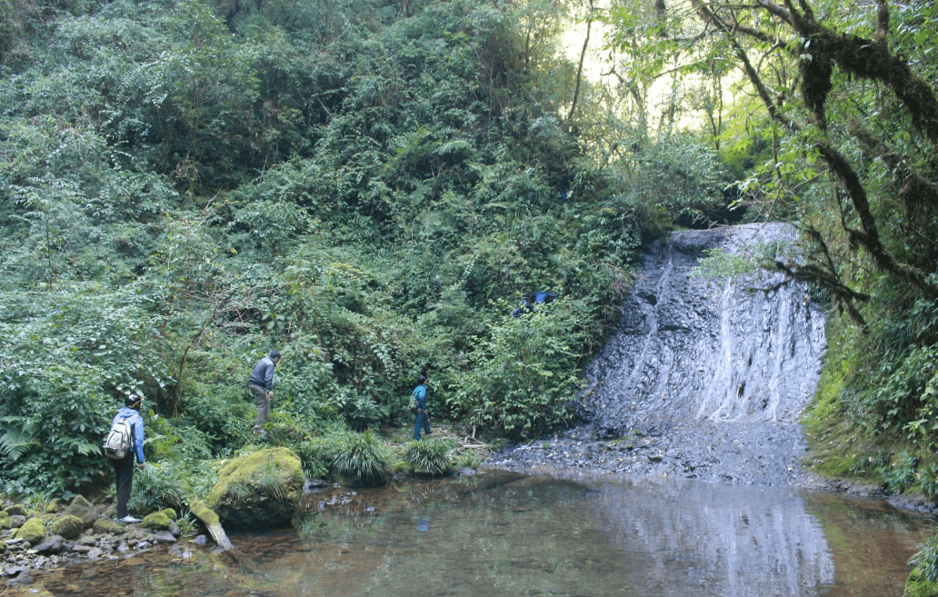 Thác Rùa Vàng