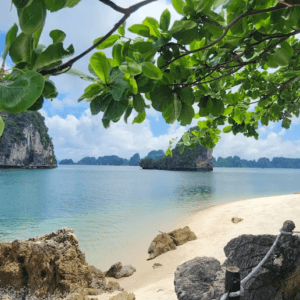 Thiên Canh Sơn Beach
