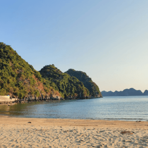 Bãi tắm Tùng Thu
