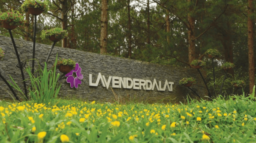 Khu Du Lịch Lavender Đà Lạt