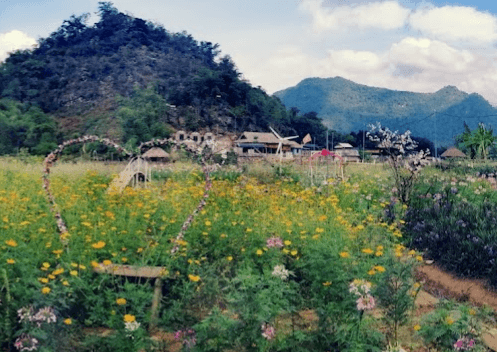 Du Lịch Mai Châu Hòa Bình