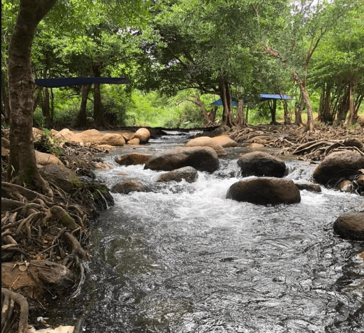 Thượng Nguồn Bãi Tắm Suối Thiên Nhiên
