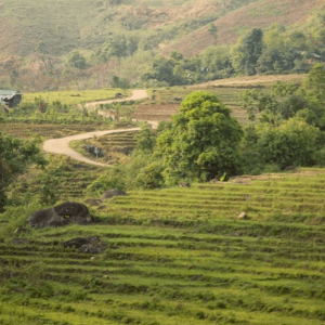 Tu Mơ Rông - Kon Tum