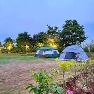 Covy Farm Vũng Tàu