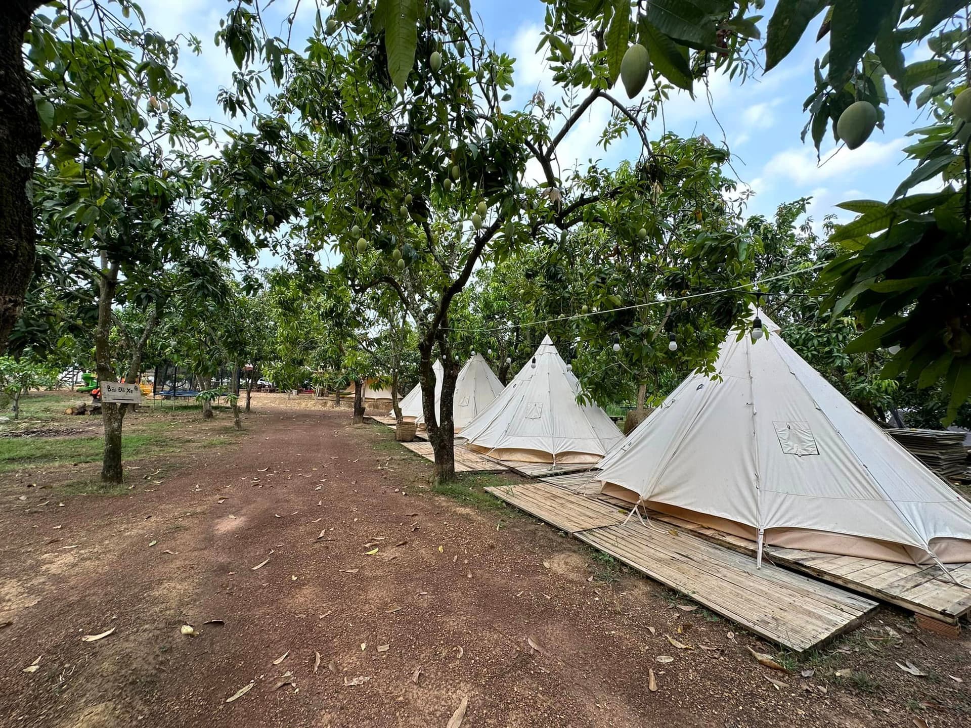 Mimi Camping