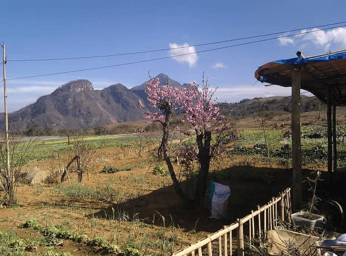 Nông trại Hoa Lợi - Bát Xát - Lào Cai