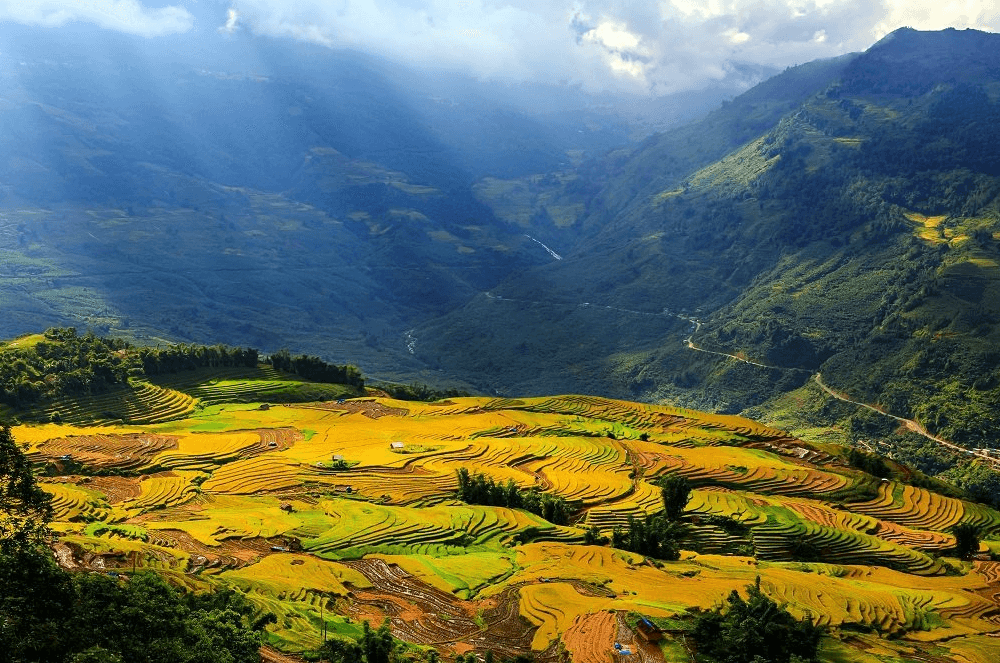Thung Lũng Mường Hoa - Sa Pa - Lào Cai
