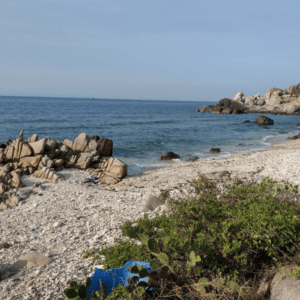 Bãi Ông Thịnh Ninh Thuận