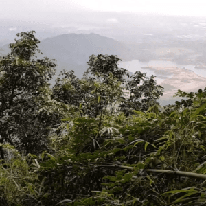 Trekking Đỉnh núi Mỏ Quạ