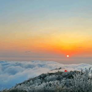 Trekking Đỉnh Sa Mu U Bò 2756m