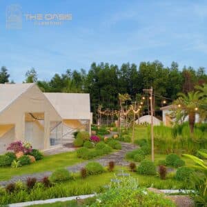 The Oasis Glamping