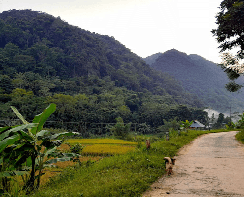 Làng Khuyn