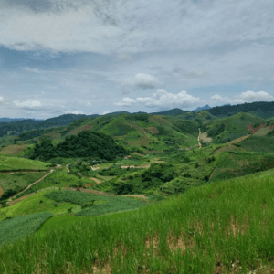 Bản Phiêng Cài - Mộc Châu - Sơn La
