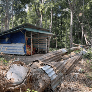 Rừng Đặc Dụng Đăk Uy - Đăk Hà - Kon Tum
