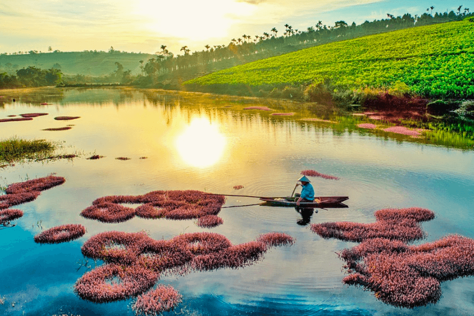 Hồ tảo hồng