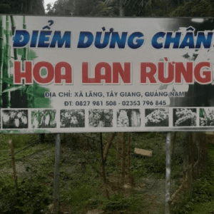 Điểm dừng chân Hoa Lan Rừng