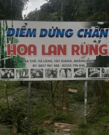 Điểm dừng chân Hoa Lan Rừng