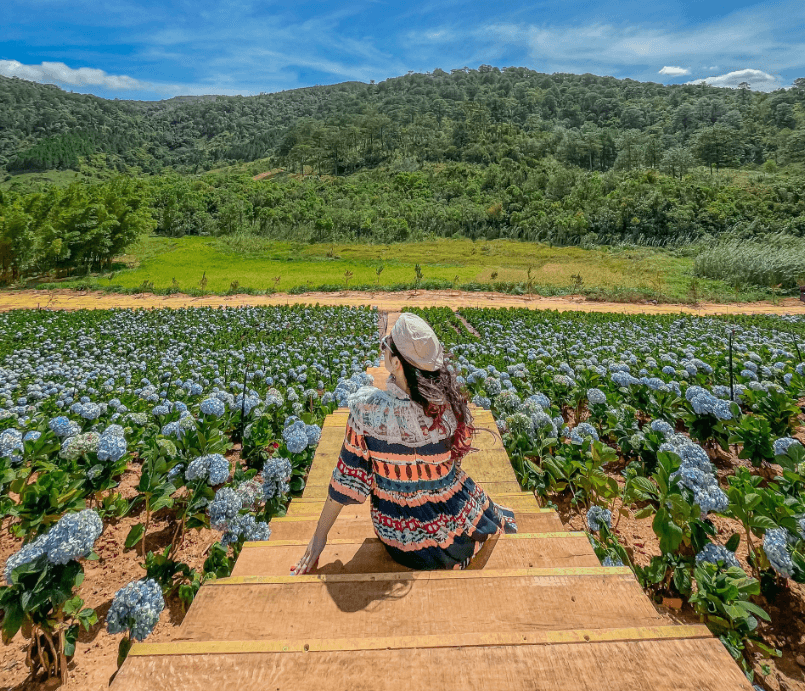 The Florest - Hoa Trong Rừng