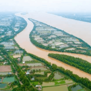 Cù lao Tân Quy