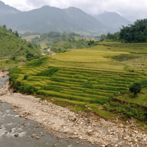 Suối Utopia