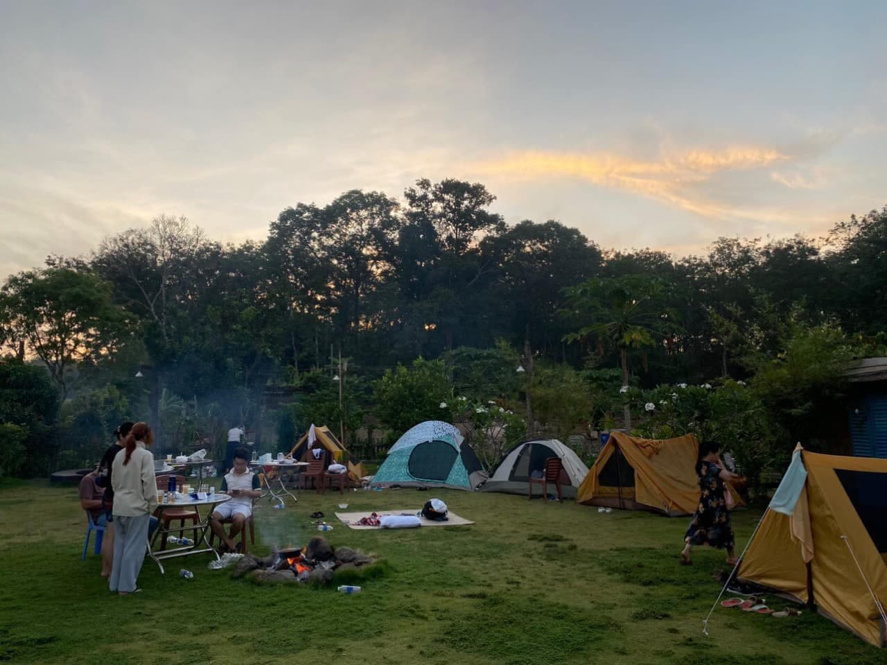 Suoirao Forest