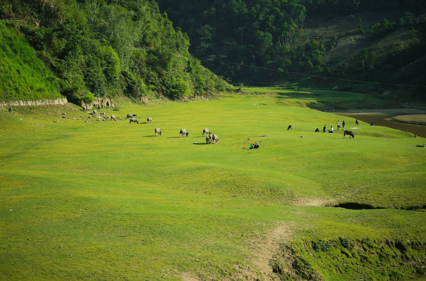 Khao Mang green Grassland (Thảo nguyên xanh)