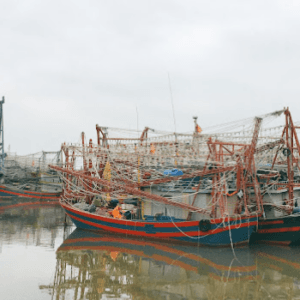 Cảng cá Mắt Rồng - Thủy Nguyên - Hải Phòng