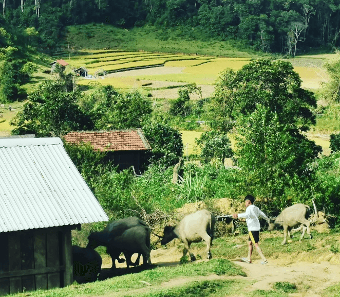 Cộng đồng thôn Mang cành
