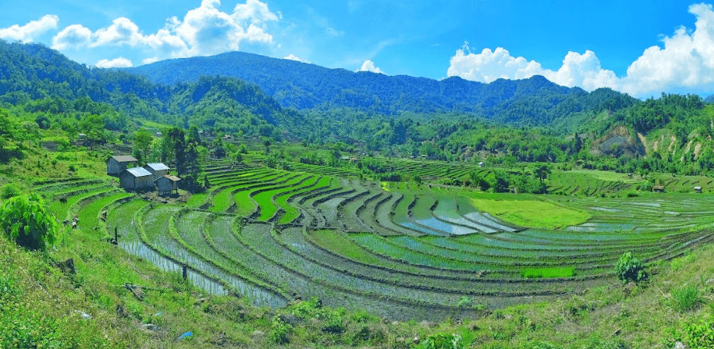 Ruộng bậc thang Long Túc