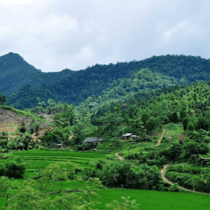 Khu bảo tồn thiên nhiên Kim Hỷ