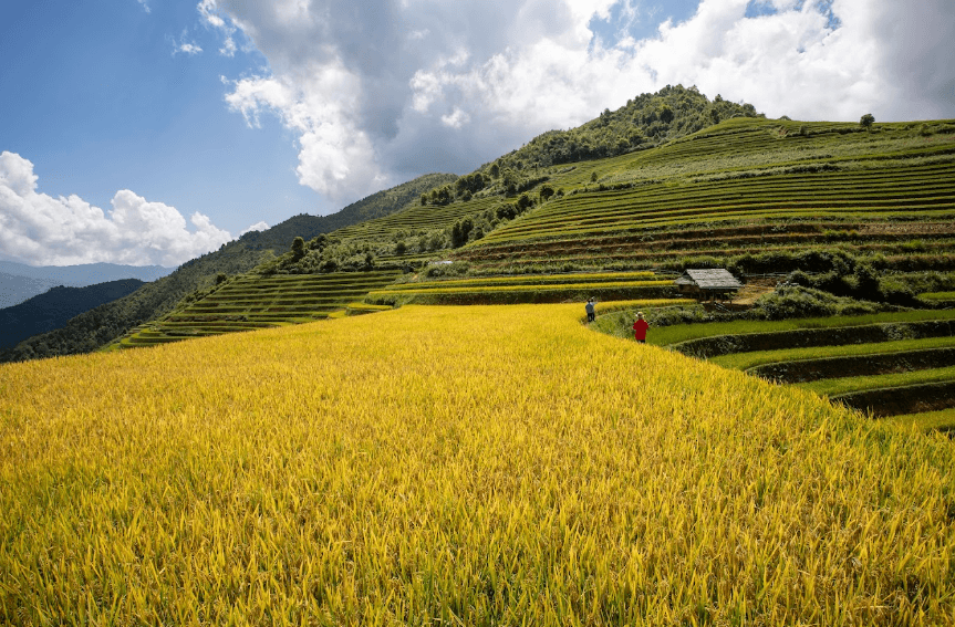 Điểm ngắm cảnh Lao Chải