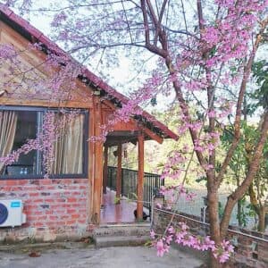 Farmstay Bản Búa