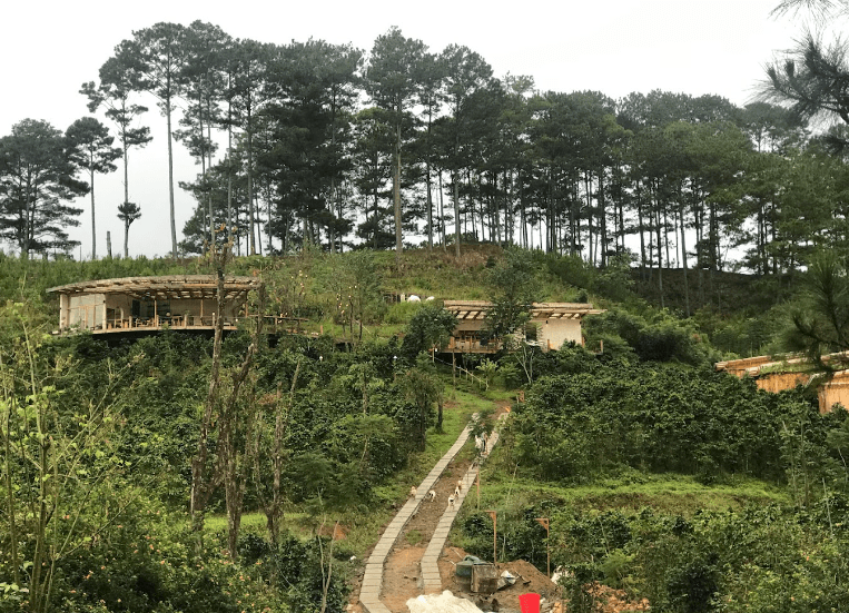Twin Beans Farm