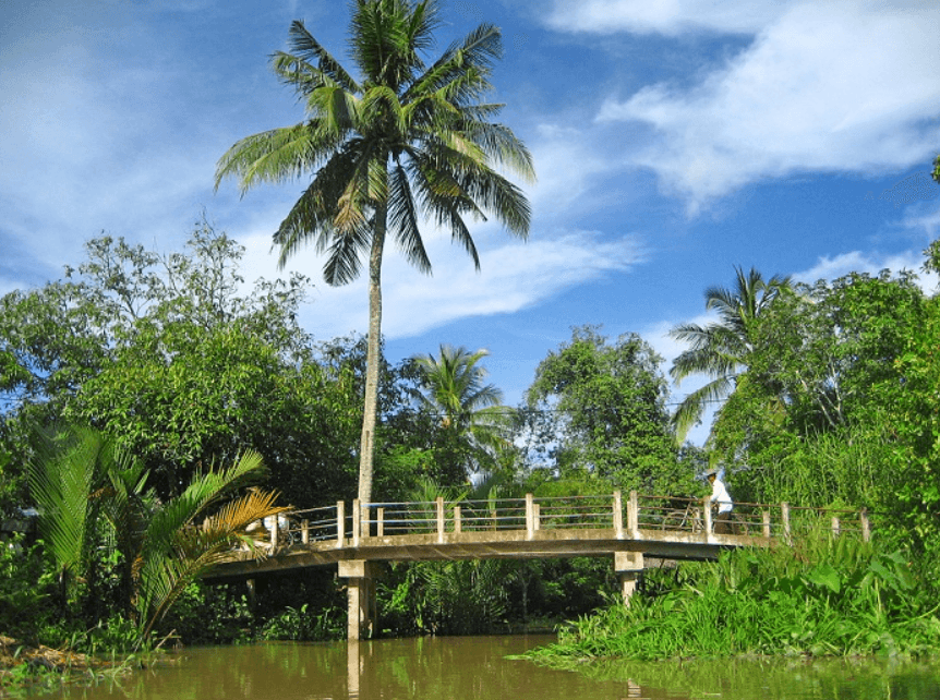 Cồn Quy Bến Tre