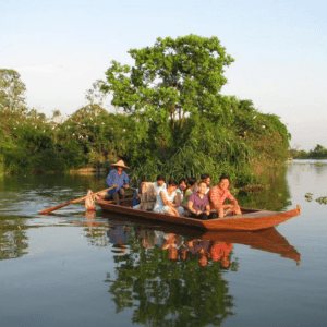 Đảo Cò Chi Lăng Nam - Thanh Miện - Hải Dương
